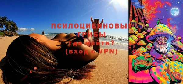 соль курить ск Богородск