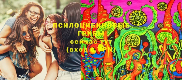 шишки Бородино