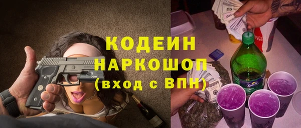 шишки Бородино