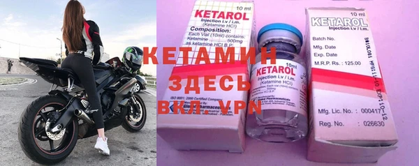 шишки Бородино