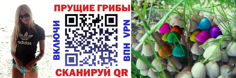 Галлюциногенные грибы Cubensis  мега ССЫЛКА  Яровое 